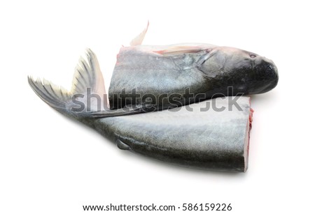 Yellowtail catfish (basa fish) isolated on white background Stock photo © 