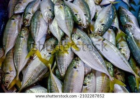 Yellowtail-scad Fish In the market located at Dungun, Terengganu.
Malaysia.