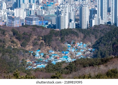 Yeonje-gu, Busan, South Korea - February 27, 2022: High Angle View Of Blue Roofs Of Detached Houses Of A Village Inside Hwangnyeongsan Mountain Against Apartments In The Background
