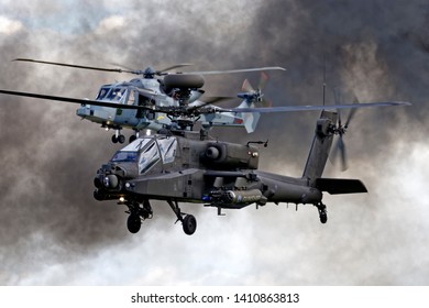 5 Wildcat ah Images, Stock Photos & Vectors | Shutterstock