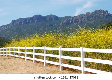 Yerba Buena Road, Santa Monica Mountains National Recreation Area, California, USA.