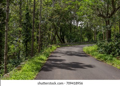 Yercaud Hill Station In Salem District Tamil Nadu India