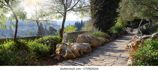 Yerushalayim, Gethsemane, Middle East, July 2016. Old Sacred Capital Of Judea. Archaic Downtown Getsemani View With Space For Text On Blue Sky. Famous Jew Holy Land Worship Place Of Judaic King David