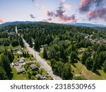 Yew Street Hill Bellingham Washington Aerial Panorama View of Bay Trees Housing Real Estate