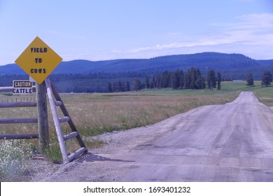 'Yield To Cows' Sign & Approach To Cattle Ranch Pasture, West Yellowstone, Montana, USA