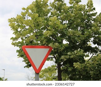Yield sign hidden under the branches of a tree