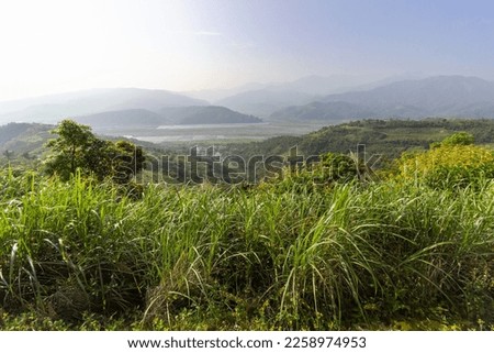 Yilan landscape with blue skies and bright sunlight, blue silhouette of mountains and tall green grass