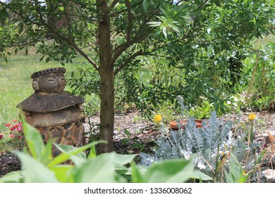 Yinnar Community Garden, Latrobe City, Gippsland, Victoria, Australia.