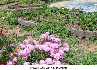 Yinnar Community Garden, Latrobe City, Gippsland, Victoria, Australia.