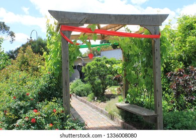 Yinnar Community Garden, Latrobe City, Gippsland, Victoria, Australia.