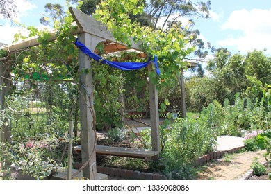 Yinnar Community Garden, Latrobe City, Gippsland, Victoria, Australia.