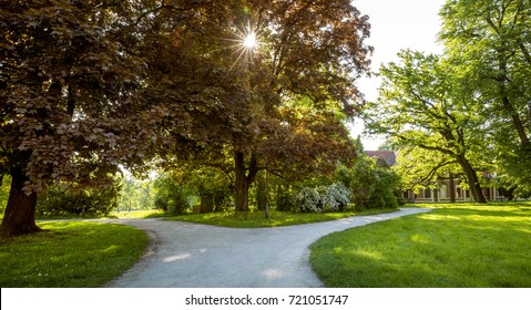 Y-junction Of Paths In Park As A Choice Concept