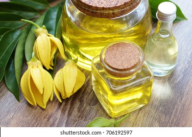 Ylang Ylang Flower And Ylang Ylang Oil