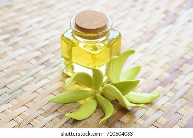 Ylang Ylang Flower And Ylang Ylang Oil