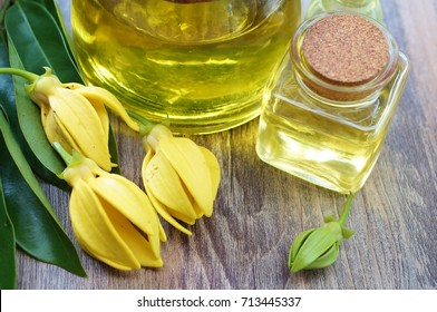 Ylang Ylang Flower And Ylang Ylang Oil