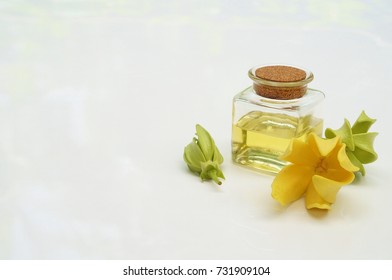 Ylang Ylang Flower And Ylang Ylang Oil