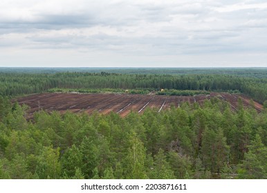 Yli-Valli, Finland - 20.07.2022: Peat bog which has been used to take out alot of peat. Recovering nature in the middle of Finland.