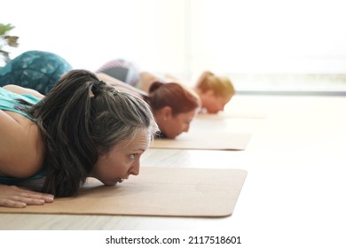 Yoga class. Close-up of a group of women practising yoga indoors, doing the Ashtanga namaskara posture, part of the classic surya namaskar sequence.