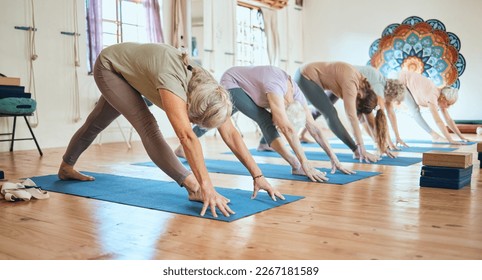 Yoga class, exercise and old people stretching during workout and fitness training with a group for health and wellness in retirement. Old people together for zen, chakra and balance practice - Powered by Shutterstock