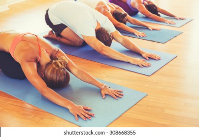 Yoga Class, Group of People Relaxing and Doing Yoga. Child's Pose. Wellness and Healthy Lifestyle.