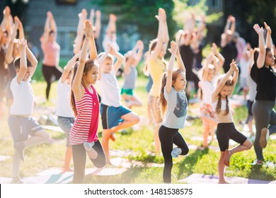 Yoga Classes Outside On Open Air Stock Photo 1481538575 | Shutterstock