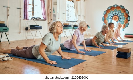 Yoga, exercise and elderly women stretching for balance, peace and wellness in zen studio. Meditation, calm and group of senior friends doing pilates workout for mind and body health in chakra class. - Powered by Shutterstock