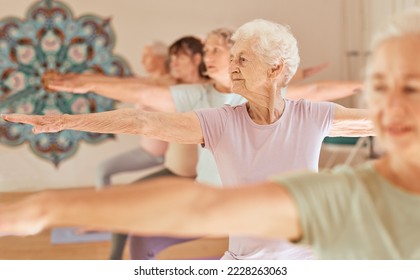 Yoga fitness, class and senior women training for elderly wellness, health and retirement self care in pilates studio. Healthcare, body workout and calm group of people exercise for healthy lifestyle - Powered by Shutterstock