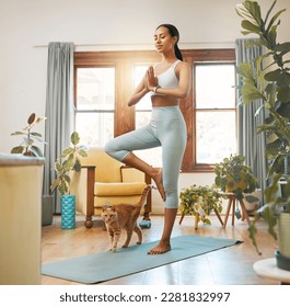 Yoga, fitness woman and cat for meditation, training and balance at home in living room, wellness and holistic health. Biracial person meditate, prayer or tree pose in pilates workout for healing