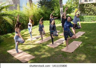 Yoga Group Enjoying Outdoor Workout. Men And Women In Fitness Apparels Standing On Mats In Park And Holding Balance. Active Lifestyle Concept