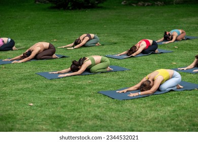 Yoga group people training and warrior pose attending yoga outside at park in sunset; group of asian young women yoga exercising training in serene ocean; select focus - Powered by Shutterstock