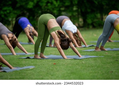 Yoga group people training and warrior pose attending yoga outside at park in sunset; group of asian young women yoga exercising training in serene ocean; select focus - Powered by Shutterstock