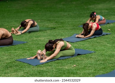 Yoga group people training and warrior pose attending yoga outside at park in sunset; group of asian young women yoga exercising training in serene ocean; select focus - Powered by Shutterstock