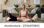 Yoga, meditation or Indian woman in home with lotus, lotus pose for mental health in lounge. Spiritual wellness, relax or zen yogi with calm peace, mindfulness or awareness with pug, pets or animals