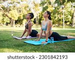 Yoga, stretching and women exercise in a park together or doing outdoor workout on grass for health and wellness. People, fitness and zen friends training mindfulness, calm and balance in nature