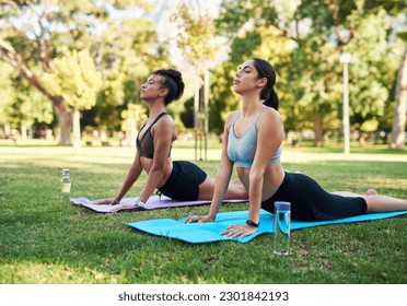 Yoga, stretching and women exercise in a park together or doing outdoor workout on grass for health and wellness. People, fitness and zen friends training mindfulness, calm and balance in nature - Powered by Shutterstock