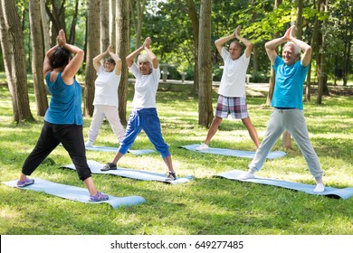 Yoga Teacher And Group Of Seniors In A Park