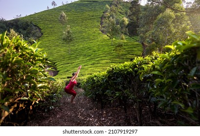 Yoga utkatasana chair pose by fit healthy woman in red costume on tea plantations in Munnar hills, Kerala, India