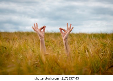 Yogi Hands Exercising Yoga In A Field