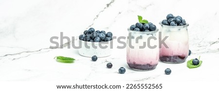 yogurt and blueberries. Healthy breakfast. Super food healthy eating vegetarian vegan food. Long banner format.
