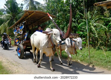 6,339 Cow cart Images, Stock Photos & Vectors | Shutterstock