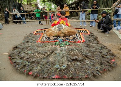 Yogyakarta, Indonesia, October 23 2022, Young Performer Fixing The Traditional Reog Ponorogo Big Mask For Event 