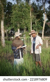 Yogyakarta Indonesia. October 27th 2022. Lovely Couple In Rice Field. Rice Research. Agricultural Scientists. Rural Area. Selective Focus.