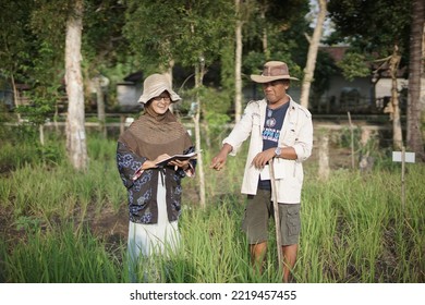 Yogyakarta Indonesia. October 27th 2022. Lovely Couple In Rice Field. Rice Research. Agricultural Scientists. Rural Area. Selective Focus.