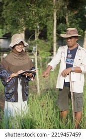 Yogyakarta Indonesia. October 27th 2022. Lovely Couple In Rice Field. Rice Research. Agricultural Scientists. Rural Area. Selective Focus.