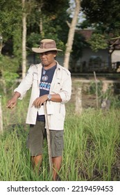 Yogyakarta Indonesia. October 27th 2022. Man In Rice Field. Rice Research. Agricultural Scientists. Rural Area. Selective Focus.