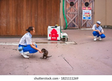 Yokohama, Japan - July 19 2020: Otter Eating In The Hand Of A Woman Staff Of The Fureai Lagoon Of The Amusement Park Yokohama Hakkeijima Sea Paradise.