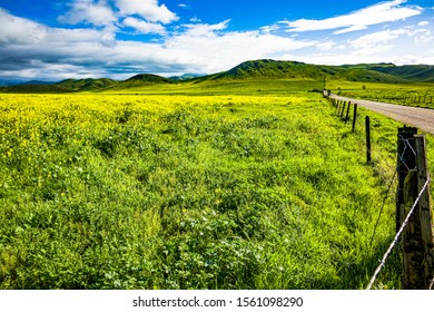 Yokohl Valley, Tulare County, In Spring