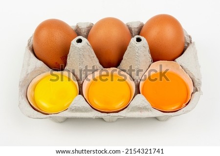 Yolk different colours of chicken egg, yellow and orange, dark and bright, chicken and hen