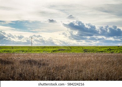 Yolo Bypass Wildlife Area Marshland In Davis, CA