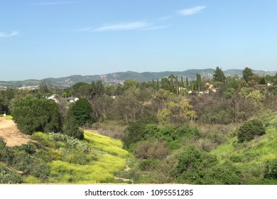 Yorba Linda Lakebed